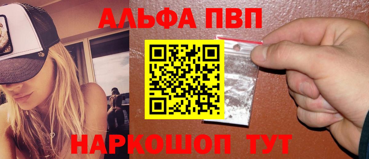 Новоалександровск  Альфа ПВП  APVP СК  A PVP крисы CK  Вход с VPN  A PVP СК КРИС 