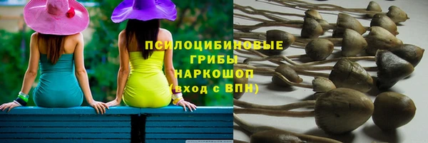 тгк Абаза