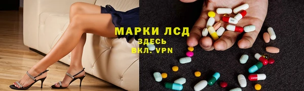 apvp Алзамай