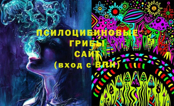 apvp Алзамай