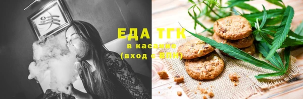 индика Заводоуковск
