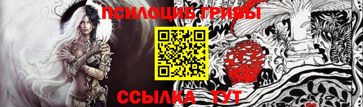 Галлюциногенные грибы Psilocybine cubensis  Вход с VPN  Новоалександровск 